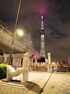 スカイツリーをバックに...... スカイツリーをバックに......