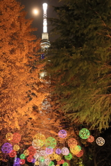 スカイツリーと紅葉と竹毬