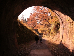 トンネルを抜けるとそこは秋だった