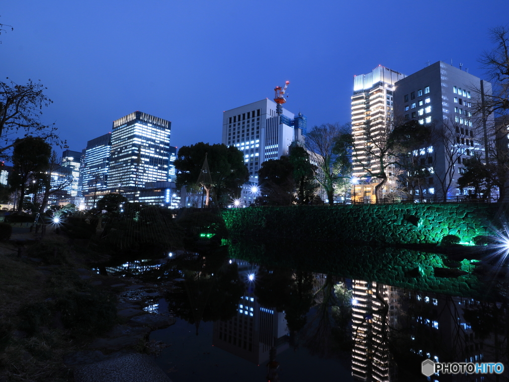 夜の日比谷公園