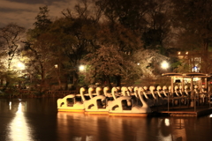 夜の井の頭公園