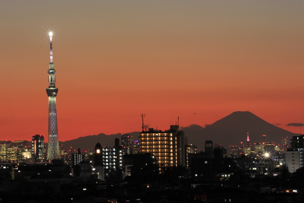 スカイツリーと富士山