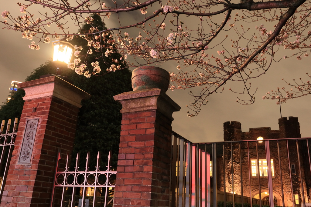 夜の立教大学