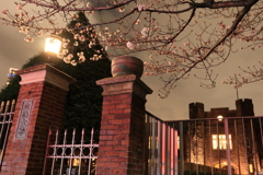 夜の立教大学