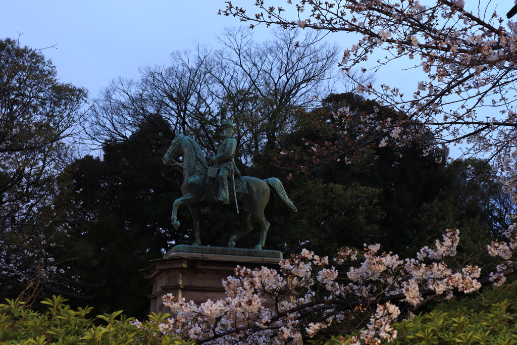 上野公園の夜桜