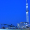 夜のスカイツリーと隅田川