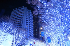 欅坂イルミネーション