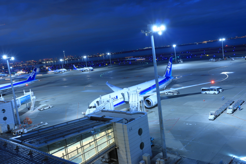 夜の飛行場