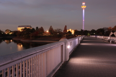 夜の狭山公園