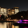 夜の日比谷公園