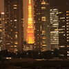 ビルの間の東京タワー