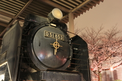 夜桜バックにD51