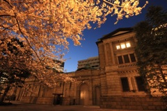 日銀の桜