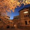 日銀の桜