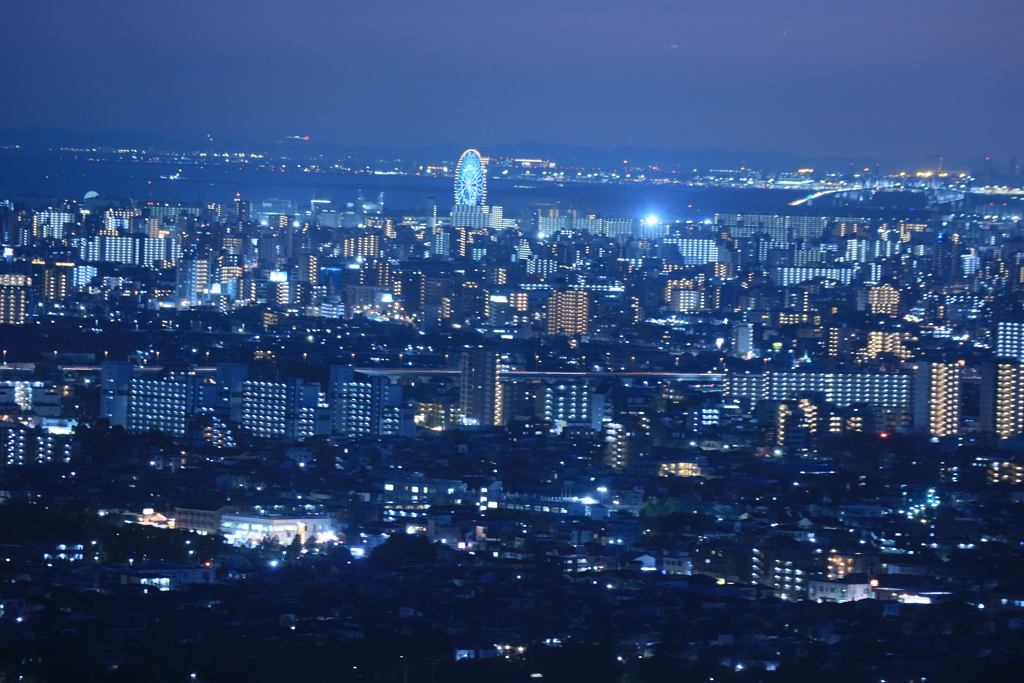 観覧車が光る夜