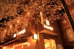 喫茶店の桜