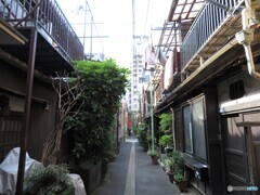 月島の路地