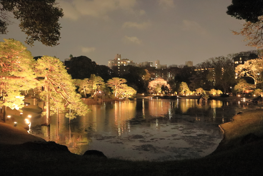 夜の六義園