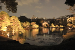 夜の六義園