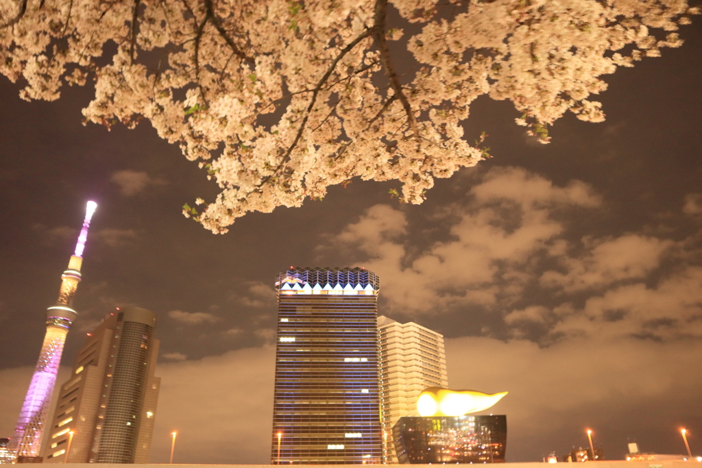 桜とスカイツリー