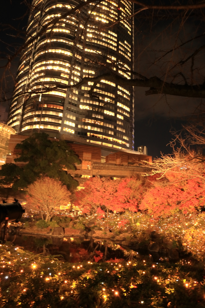 毛利庭園イルミネーション