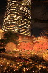 毛利庭園イルミネーション