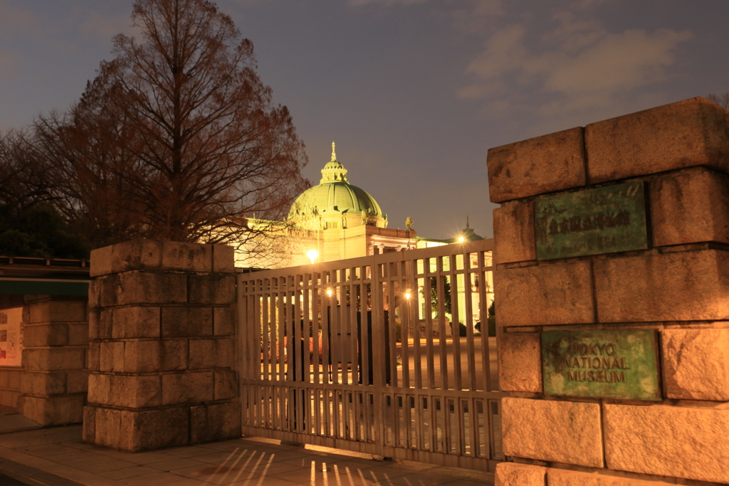 夜の上野公園‐国立博物館