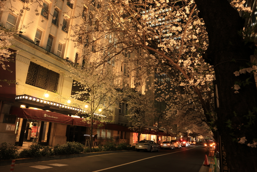 高島屋の夜桜