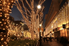 表参道イルミネーション