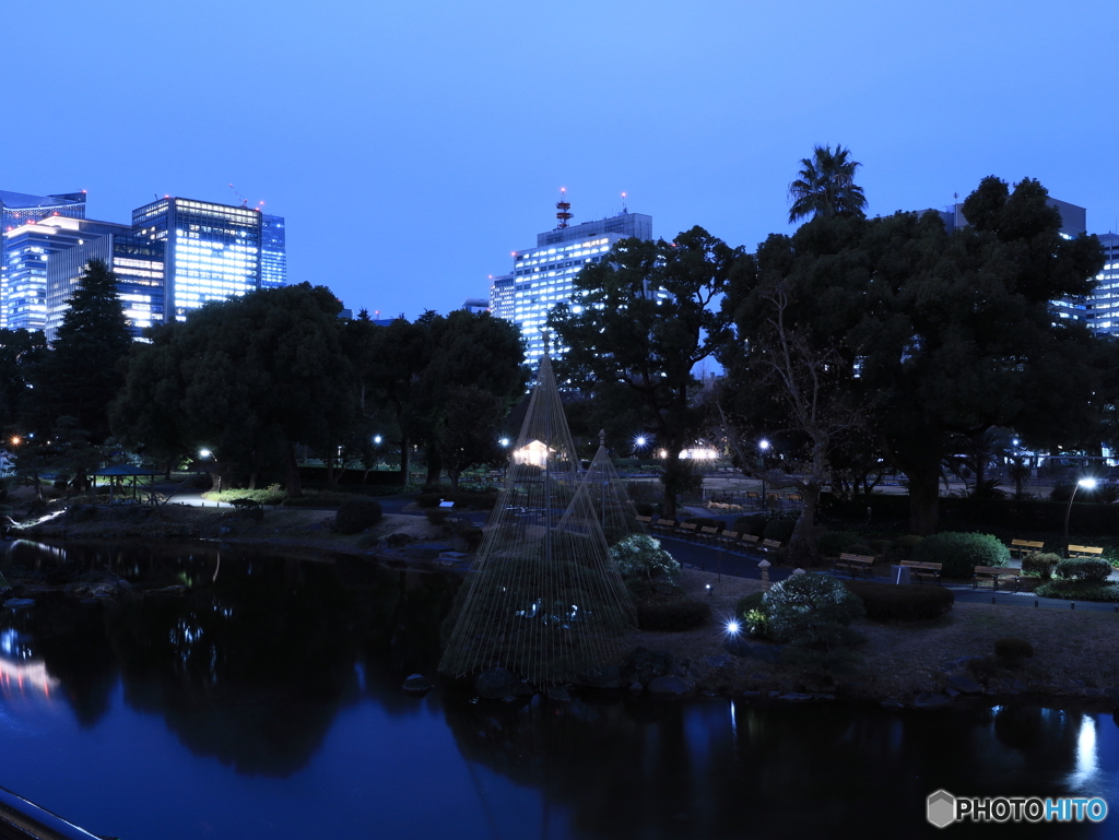 夜の日比谷公園