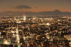 キャロットタワーからの眺め