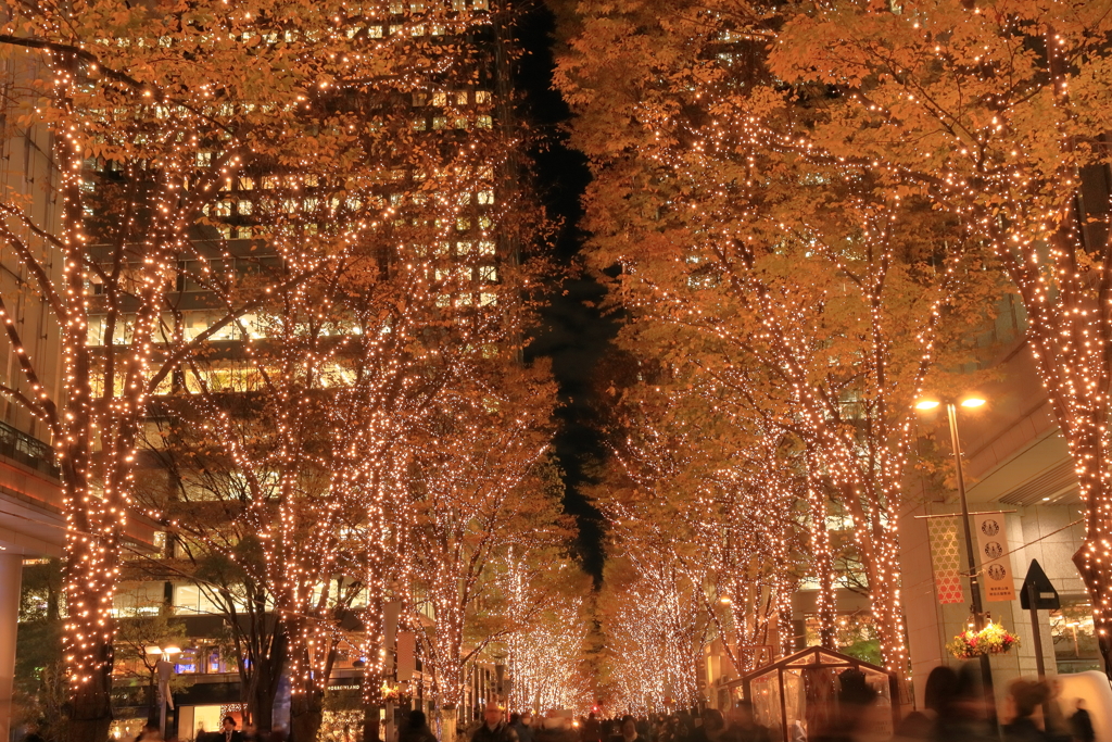 丸の内イルミネーション⑫