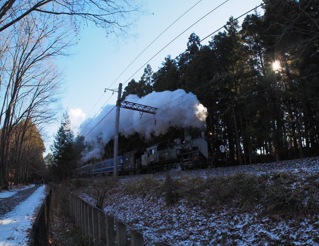 日の光へ向かって　PERGEAR 7.5mm F2.8