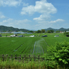 日光の車窓から