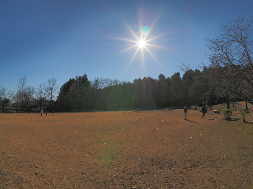 日ざし　PERGEAR 7.5mm F2.8