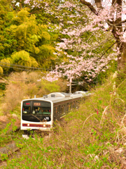 日光桜回遊2021⑥～番外・お花見列車～