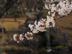 水辺にて