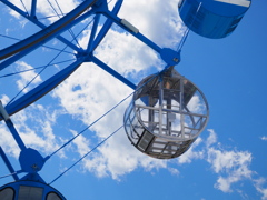 スケルトン？！