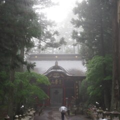 霧に包まれた三峰神社