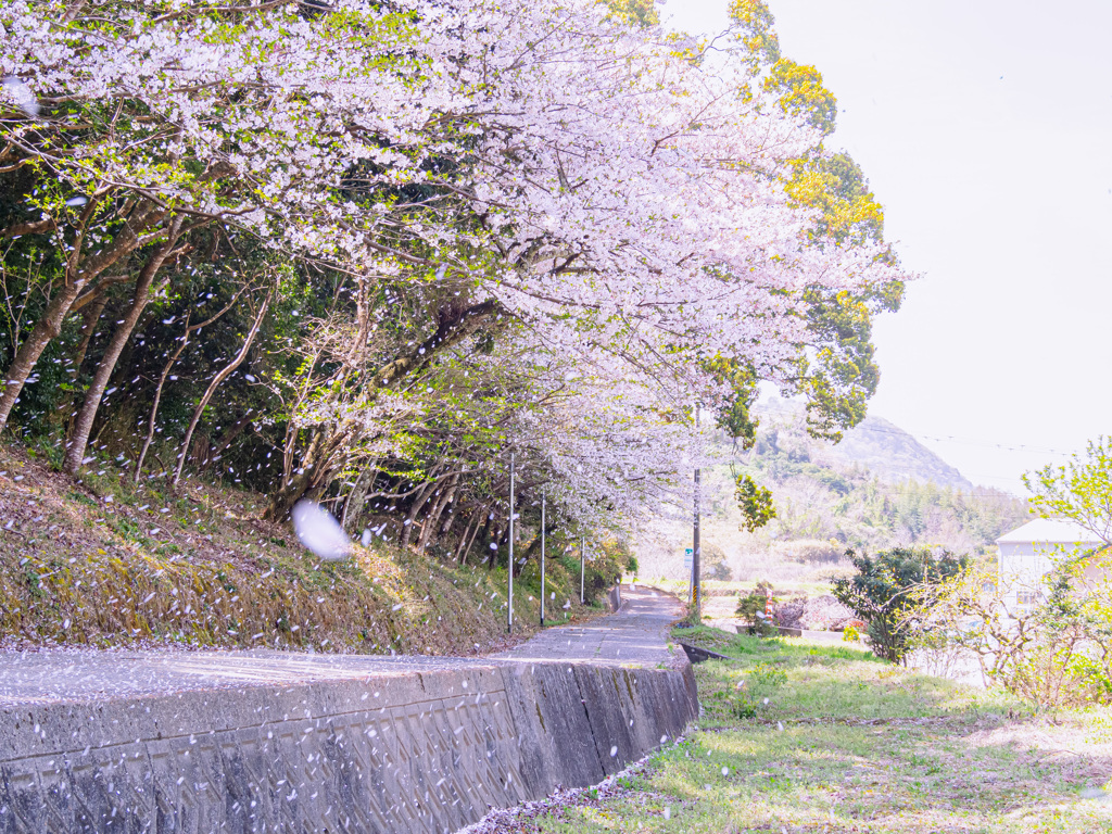 春泥棒