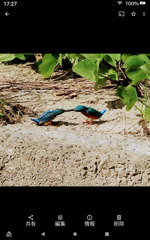Screenshot_20240930-172744