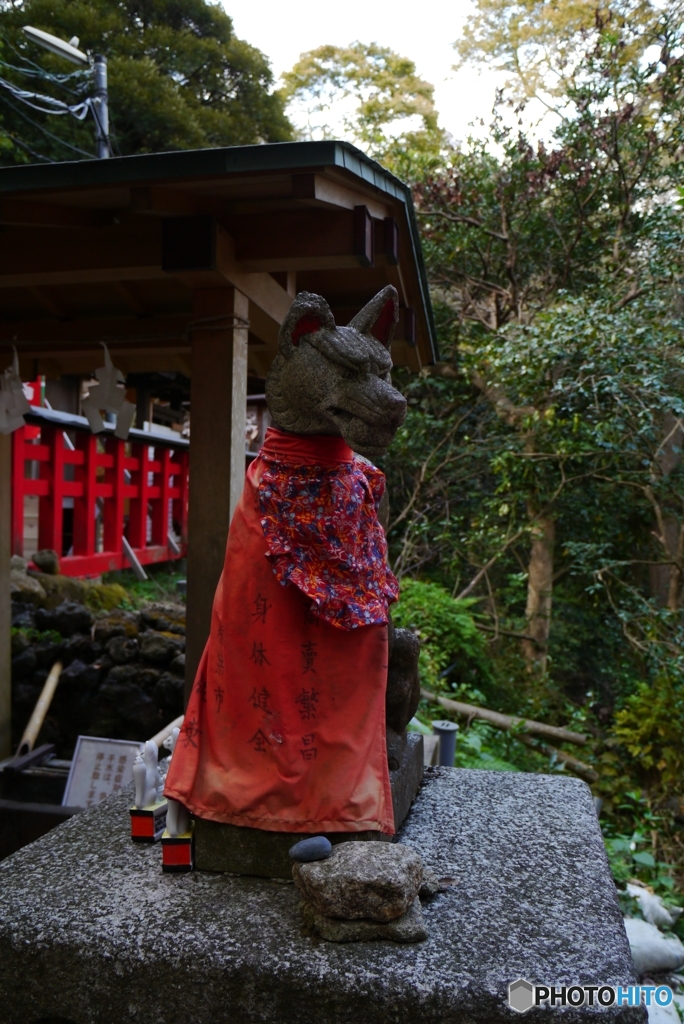 朱