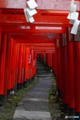 鎌倉佐助稲荷神社参道