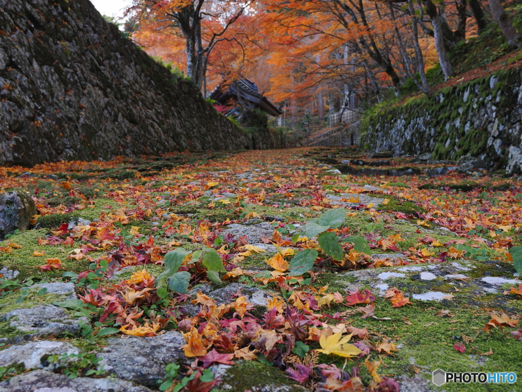 湖東の紅葉を楽しむ～百済寺