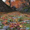 湖東の紅葉を楽しむ～百済寺