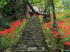 紅の階段～仏隆寺～