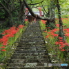 紅の階段～仏隆寺～