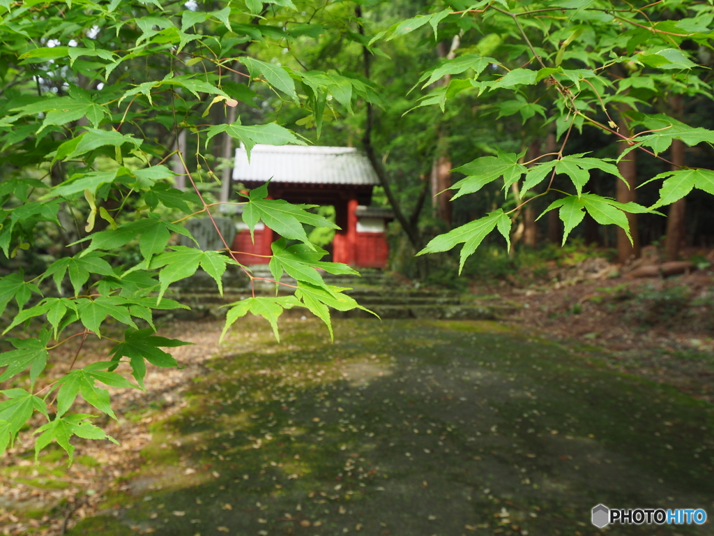 緑の中の寺院散策～百済寺