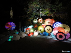 七番目の寺院…ラッキー７の岡寺  紅葉ライトアップ