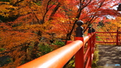 晩秋の京散歩Ⅴ  今熊野 観音寺４